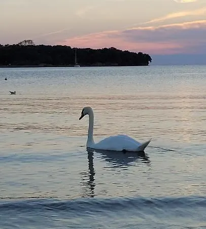 House Piccola California Sea View Múggia